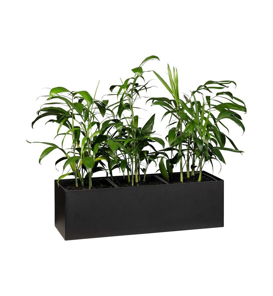 Cabinet Trough Planter small